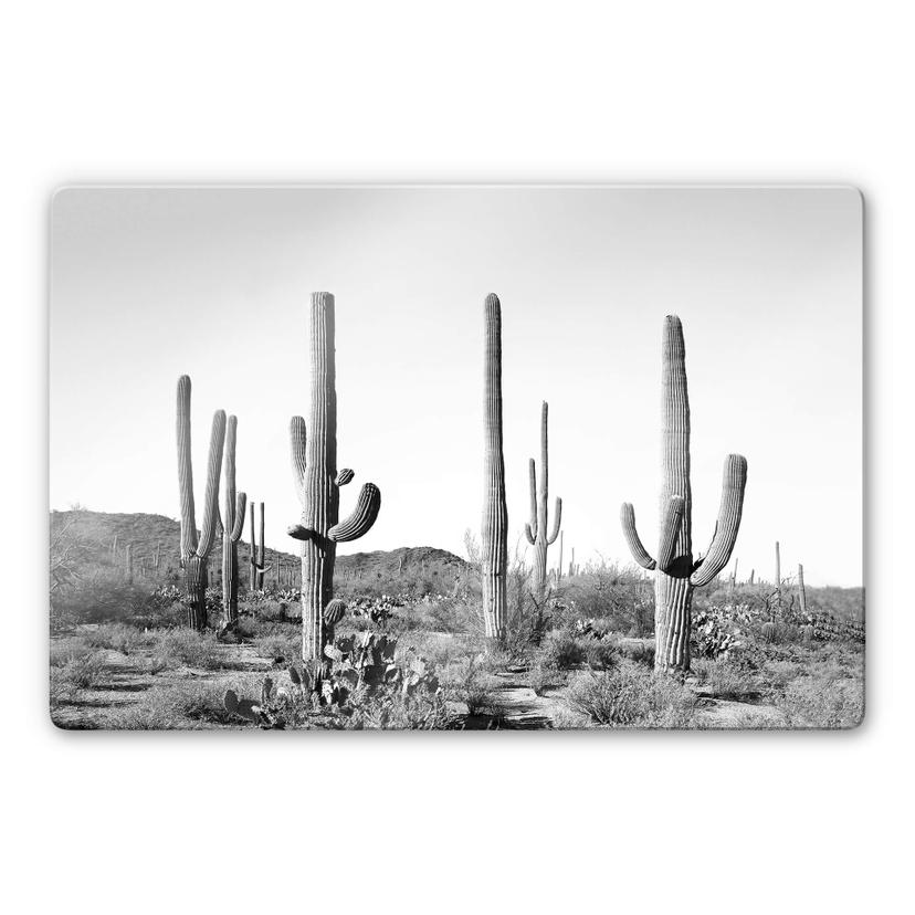 Glasschilderij Sisi & Seb - Cactussen