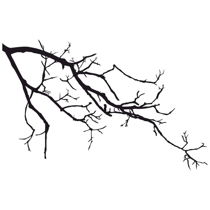 Sticker mural - 2 Branches (bicolore)