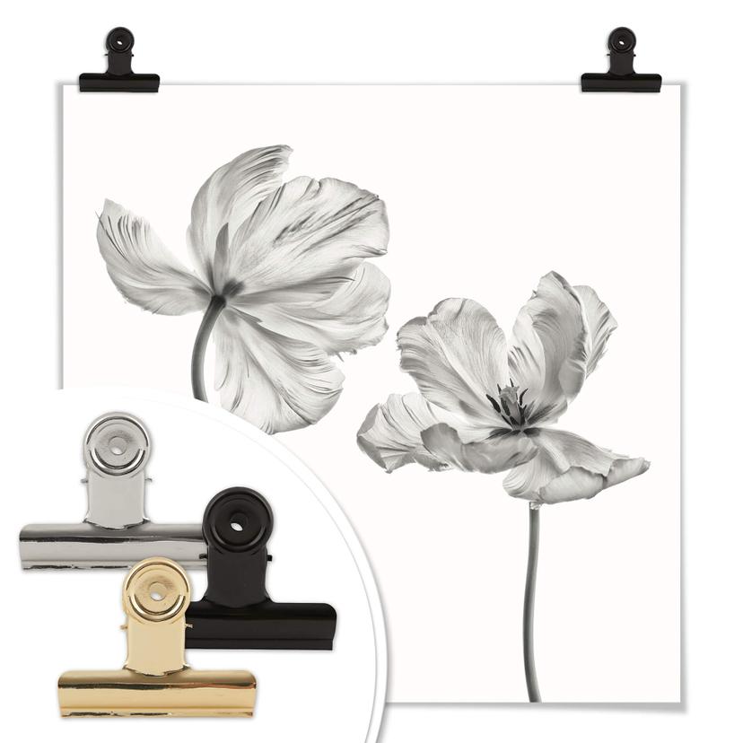 Poster Grønkjær - Fiore di tulipano