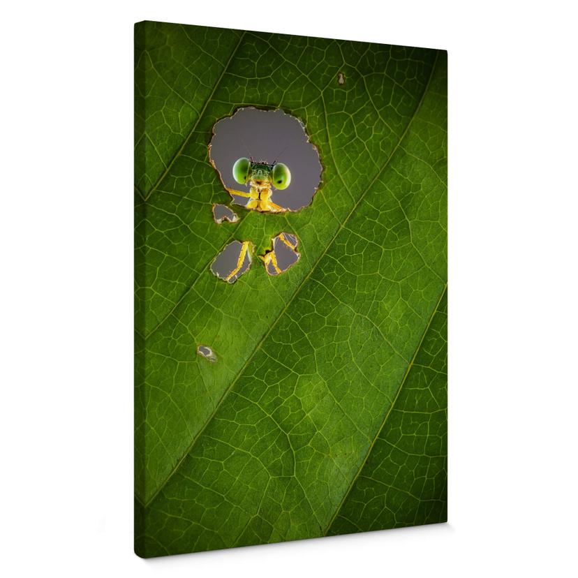Canvas Wilianto - Hello little Friend