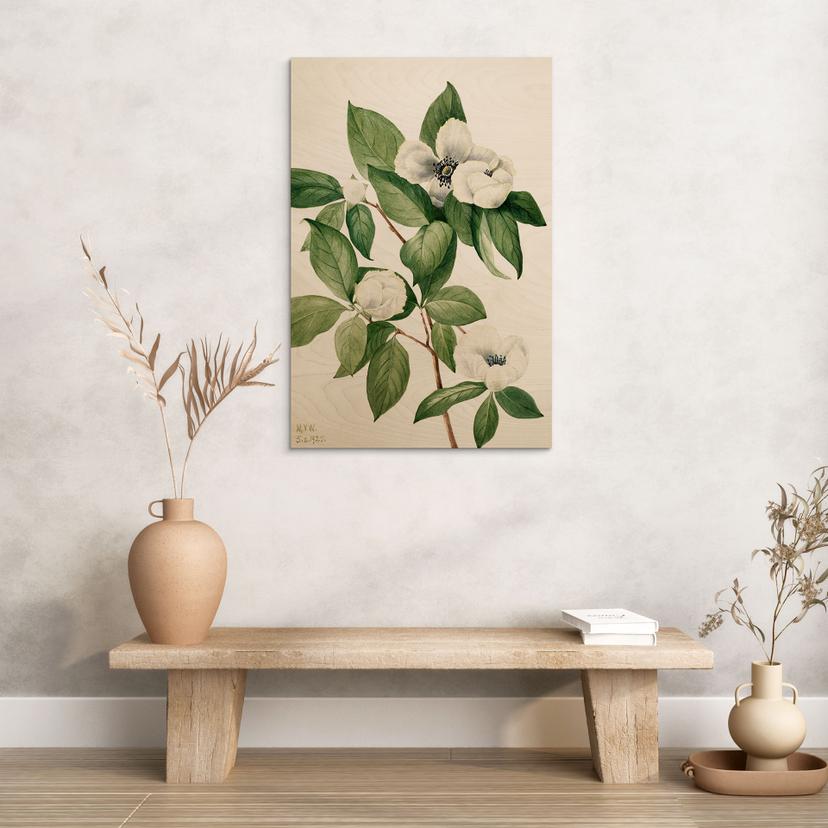 Stampa su legno di una finta camelia, illustrazione botanica - Walcott