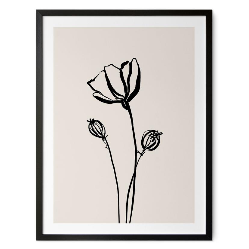 Póster Line Art Poppy - Gatos y puntos