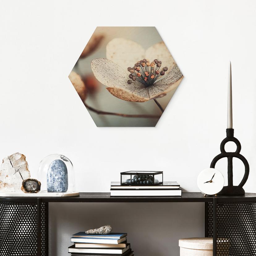 Stampa esagonale su legno macro di fiori secchi Boho - Treechild