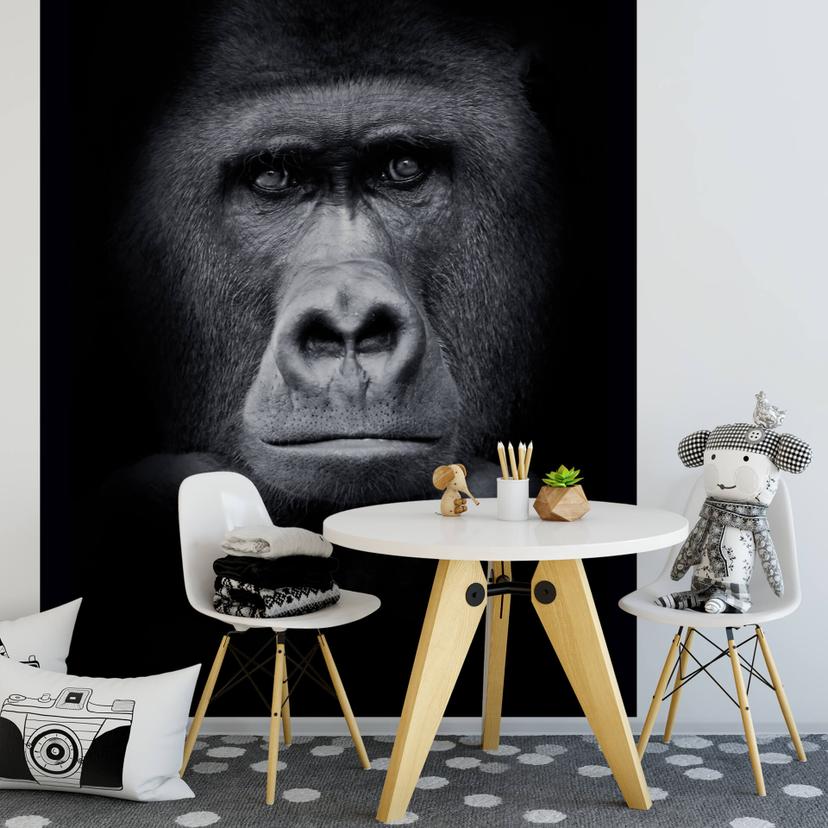 Papier peint photo Gorille - 192x260 cm