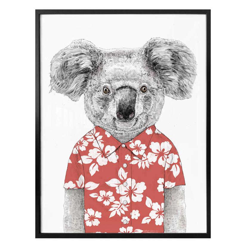 Plakat - Solti - Koala om sommeren