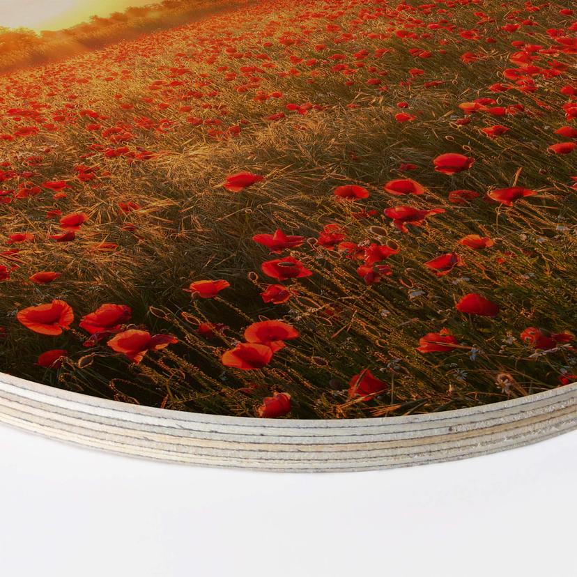 Tableau en bois Champ de coquelicots au coucher du soleil - Rond