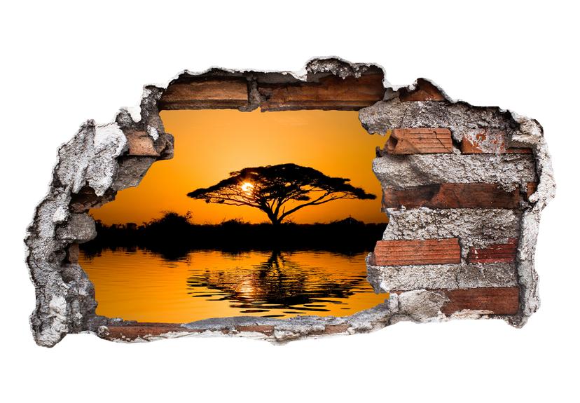 3D Muursticker Afrika