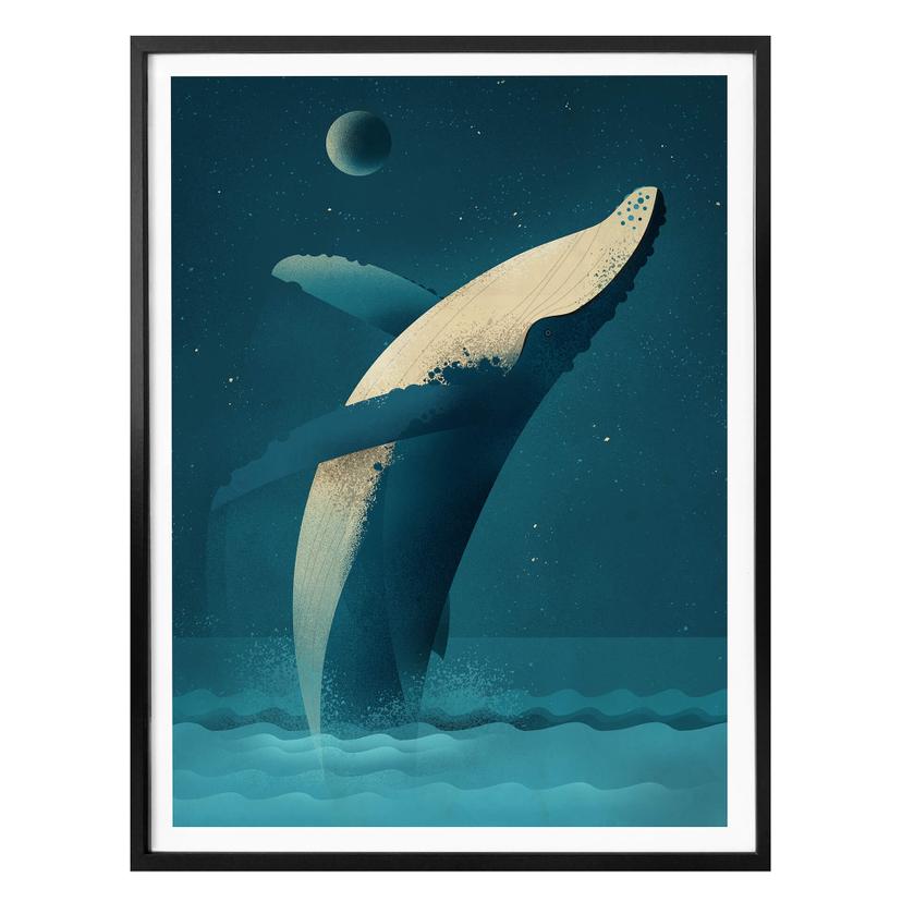 Póster Marrón - Ballena jorobada