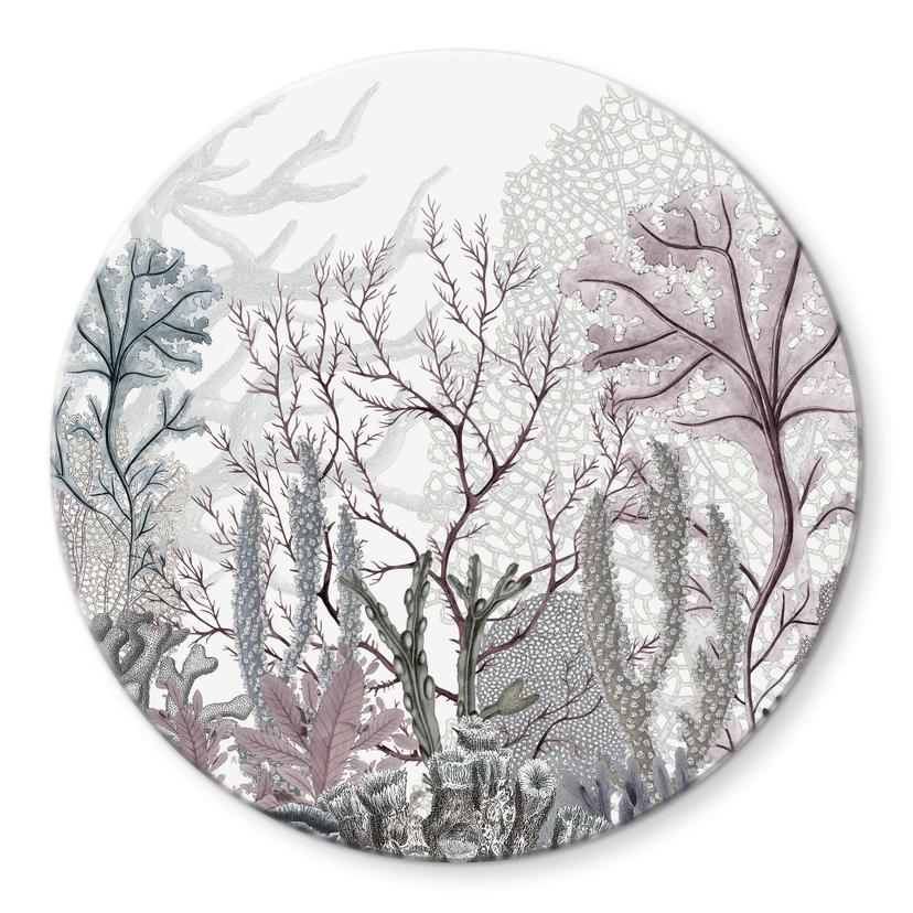 Tableau sur verre Sir Edward - Merveilles de la mer