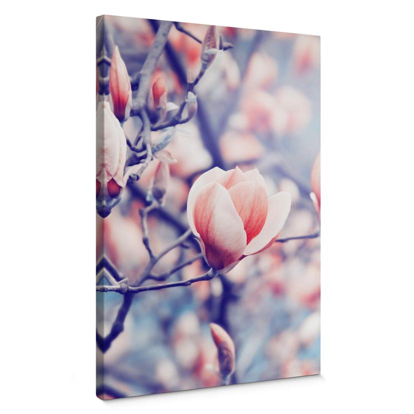 Tableau sur toile Magnolia