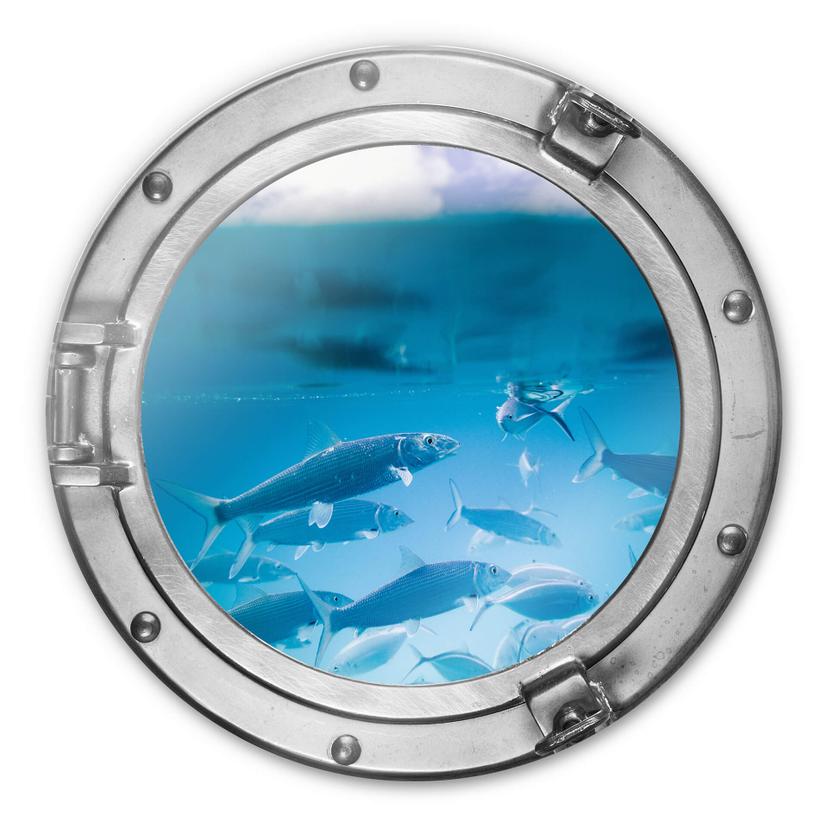 Glasschilderij rond 3D optiek - Sea Life