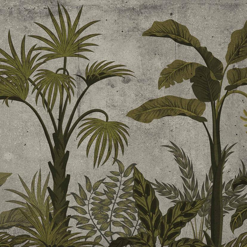 JungleConcret1 Carta da parati in grigio verde - Tessuto non tessuto Designwalls 2 - 2,55 x 3,5 m