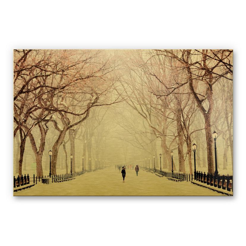 Alu-Dibond Goudeffect - Central Park Winter