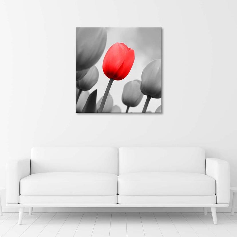 Stampe su tela, Tulipano rosso in grigio