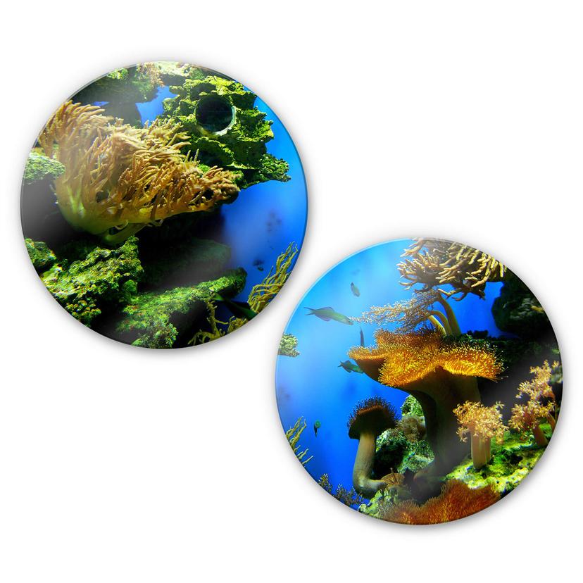 Tableau en verre - Récif de corail (2-parties) - rond