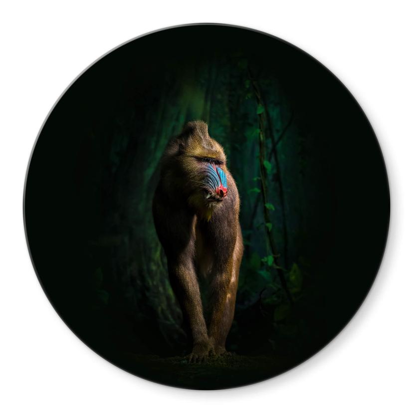 Tableau sur verre Yunta - Dans la jungle - Rond