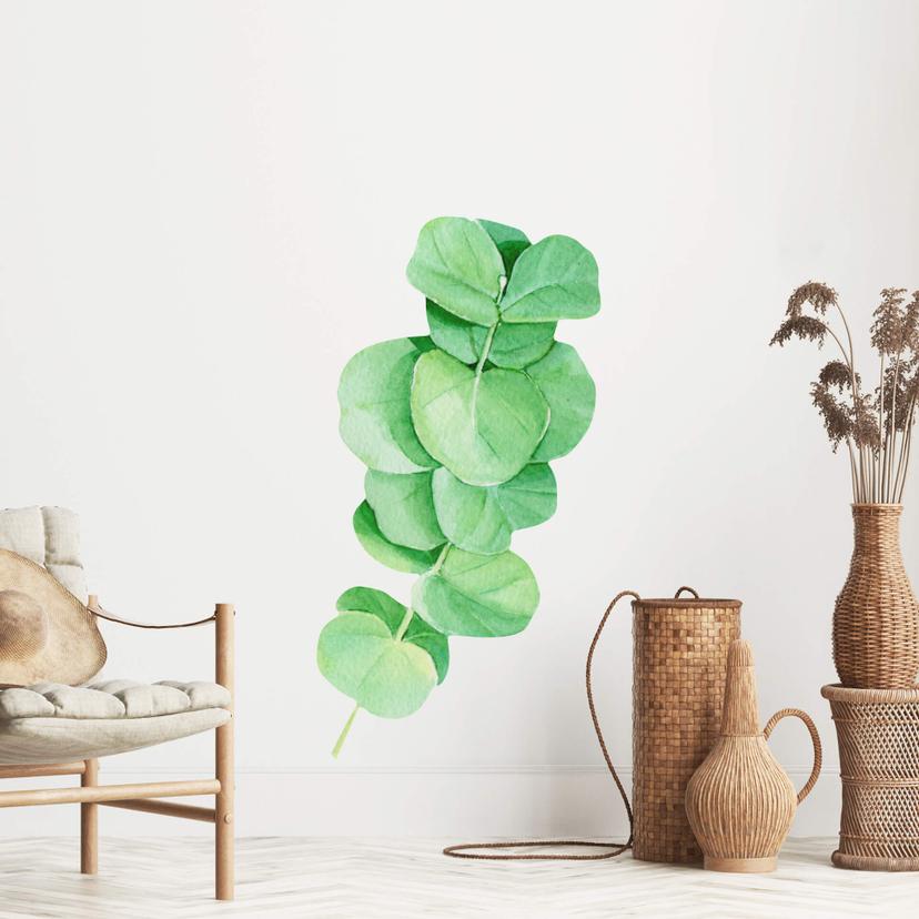 Muursticker XXL Eucalyptustak