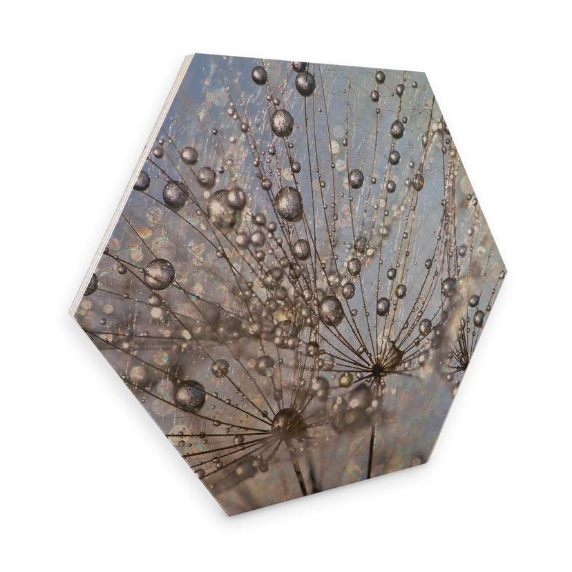 Hexagon Berkenfineer Delgado - Waterdrop Dandelion