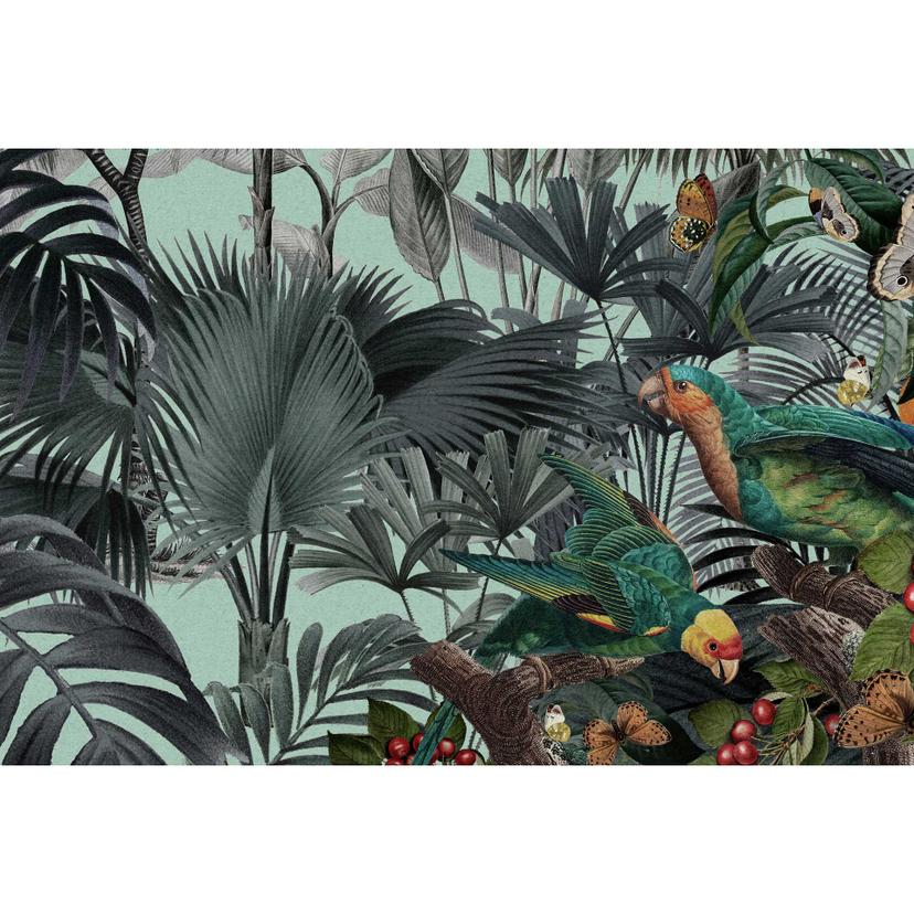 Fotomural selva tropical - Muestra de loros y palmeras