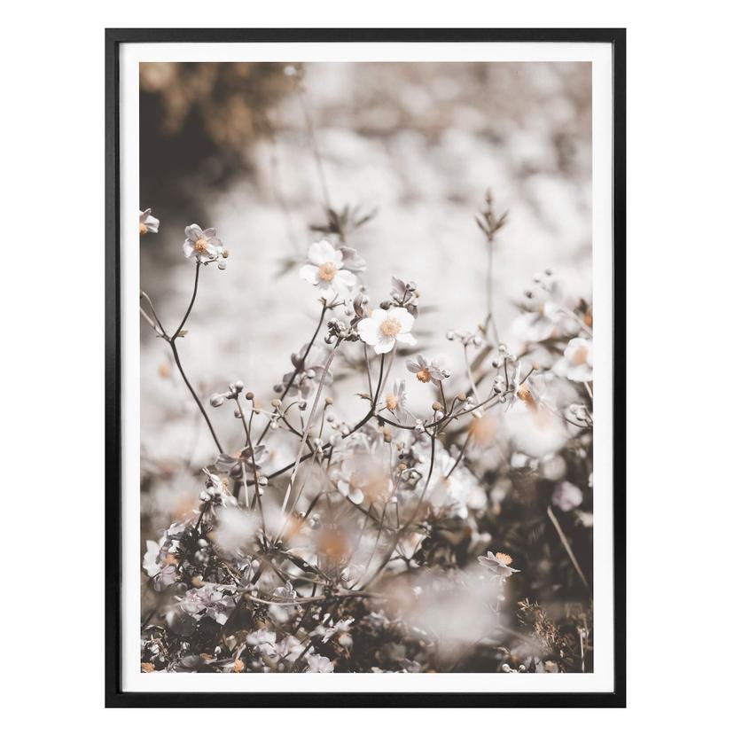 Plakat - Annie - Wild Flower