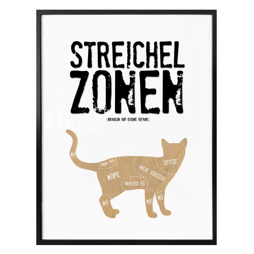 Poster Streichelzonen - Katze