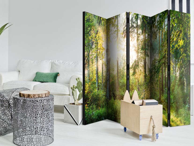 Divisorio - Avventura disinibita, 5 pezzi - 225x172 cm