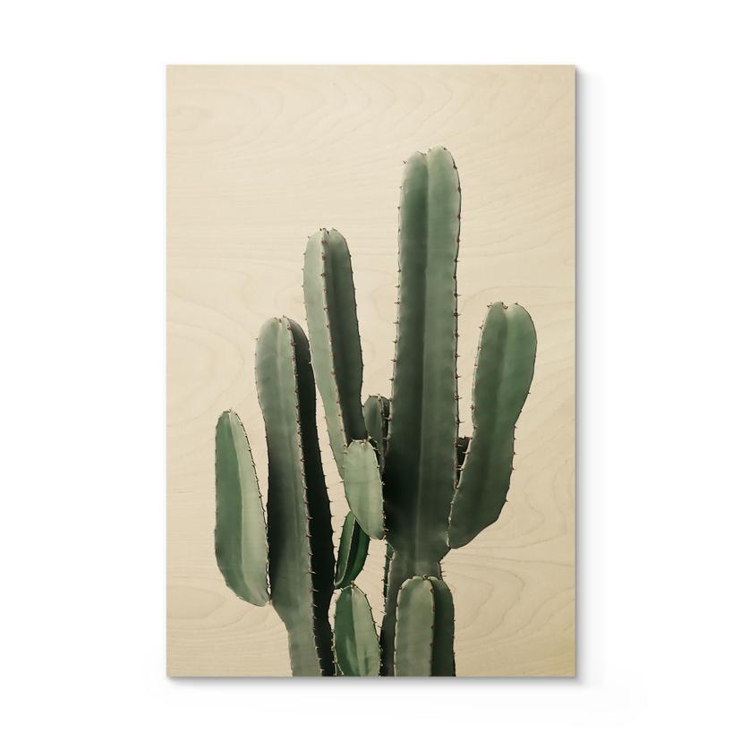Cuadro de madera planta de cactus - Sisi & Seb