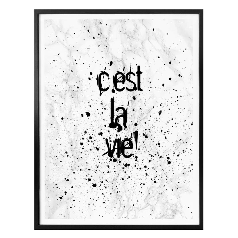 Affiche - C'est la vie