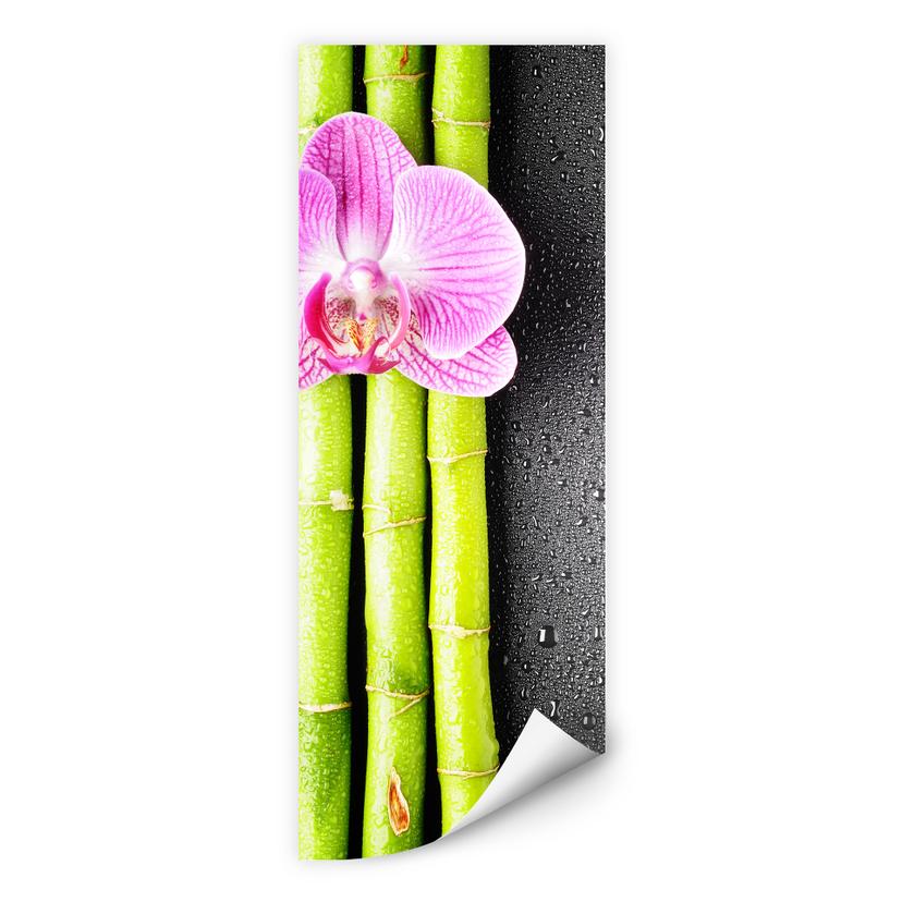 Zelfklevende Poster - Orchid and Bamboo