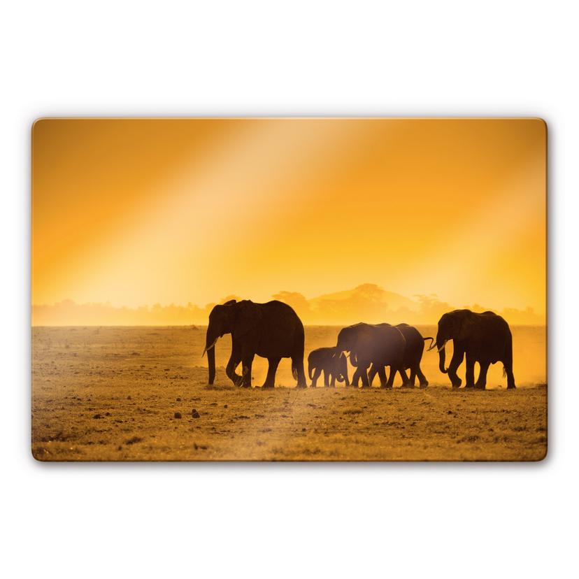 Glasbillede - Elefant Tur