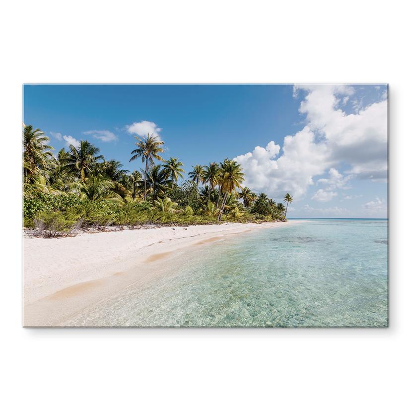 La spiaggia delle palme del Pannello paraschizzi nei Mari del Sud - Colombo