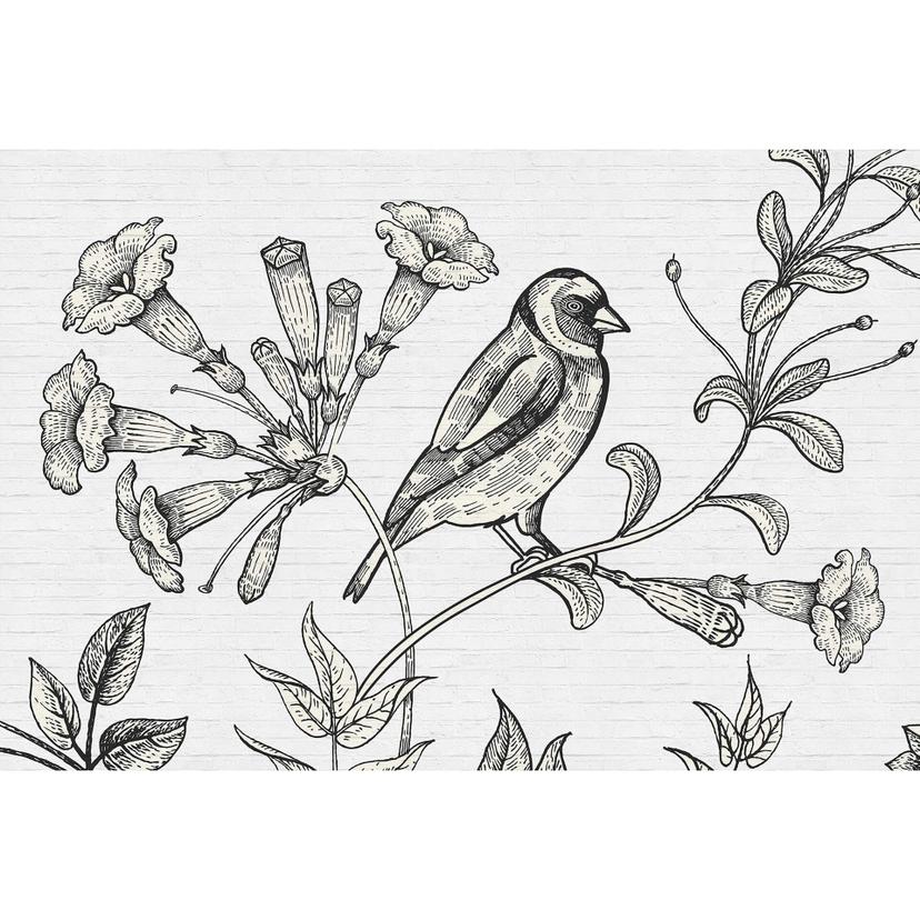 Fotomural Paredes de Patel birdy 1