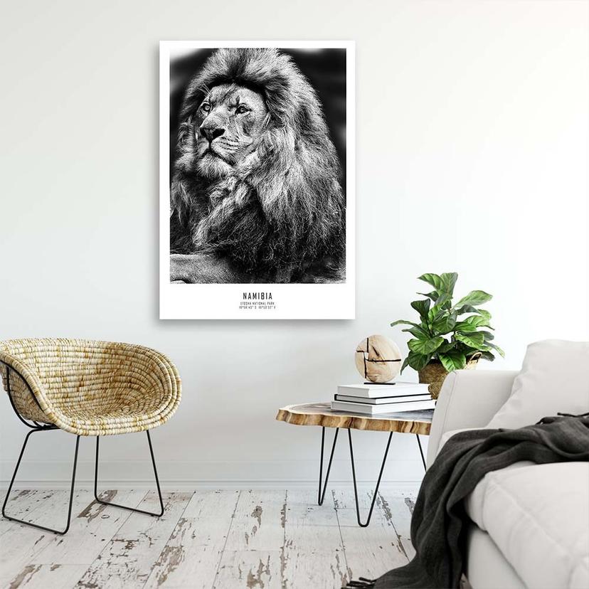 Stampe su tela, Leone animale africano