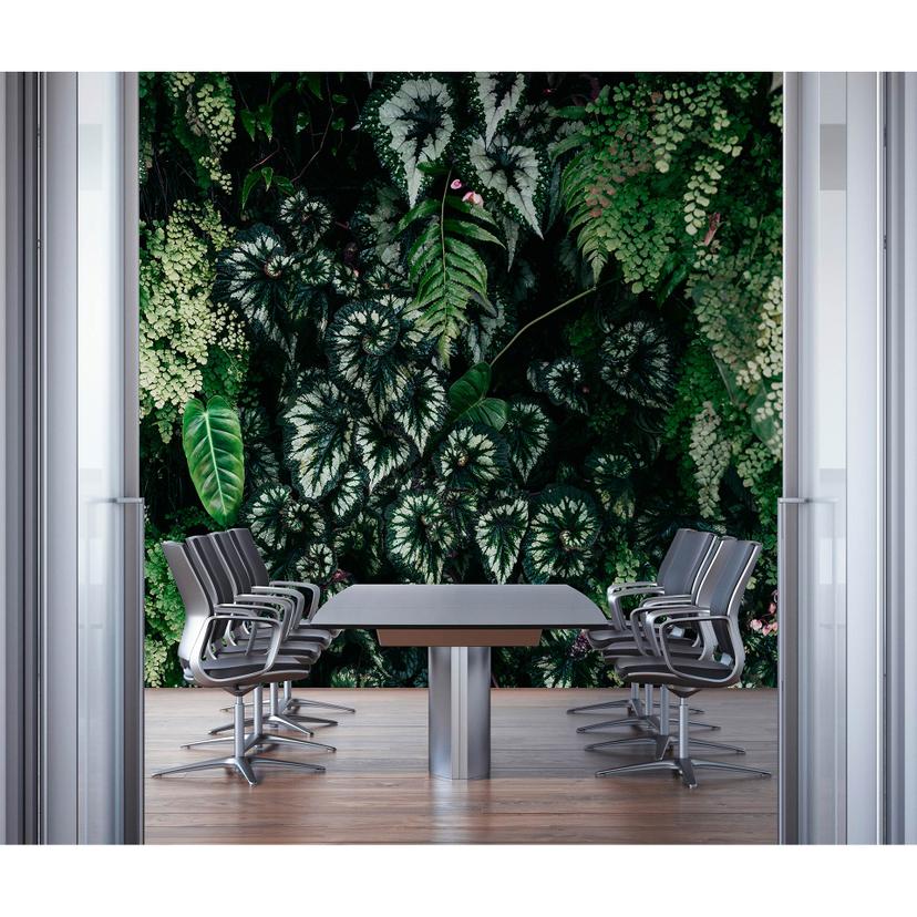Livingwalls fotomurale Walls by Patel 3 Deep Green