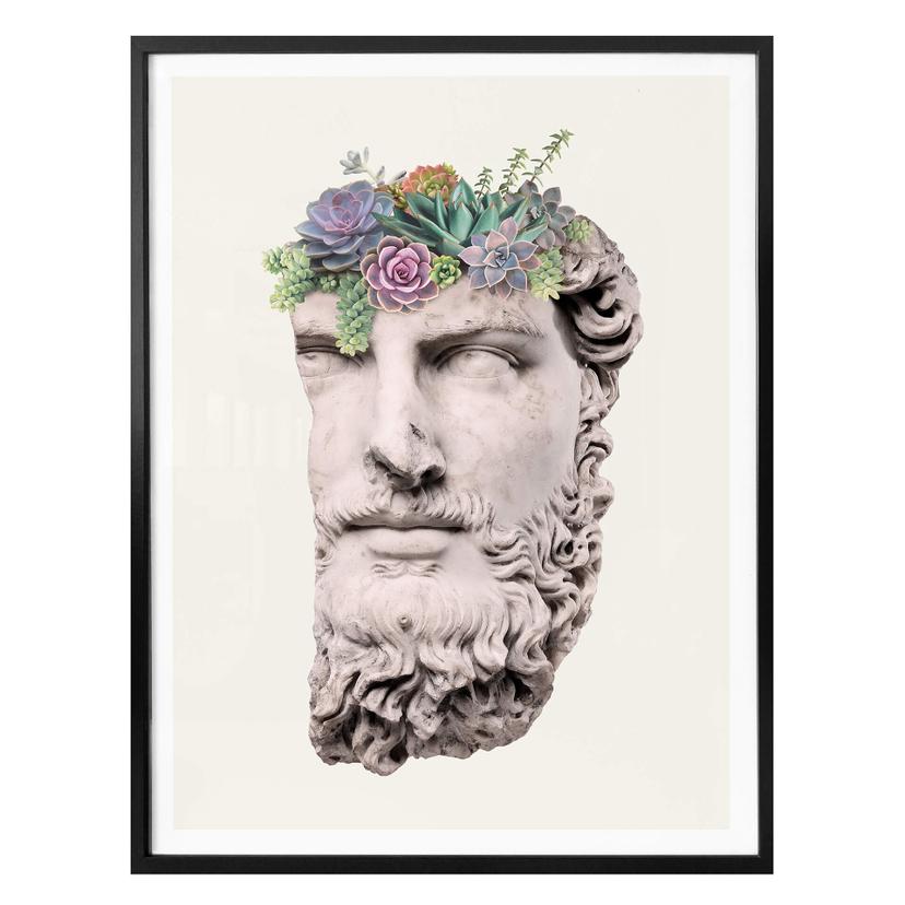 Póster Suelto - Escultura suculenta