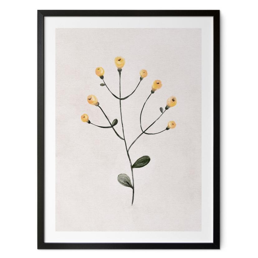 Póster Planta delicada con flores amarillas - Goed Blauw