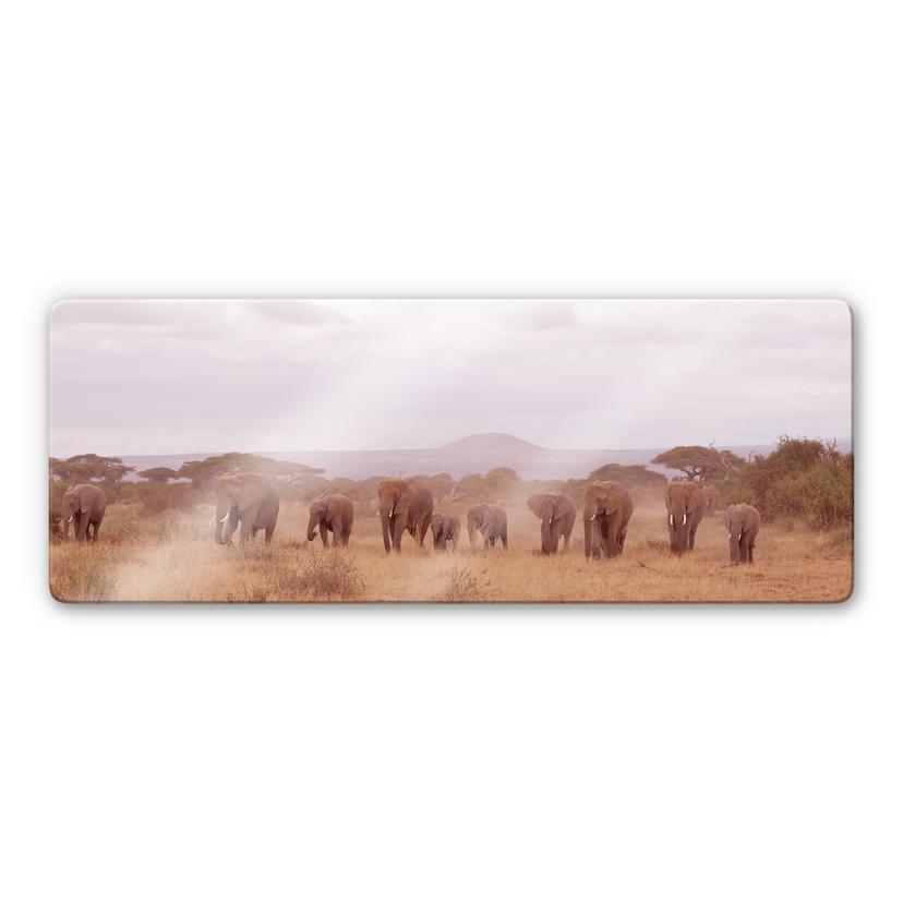 Tableau en verre - Troupeau d'éléphants - Panorama