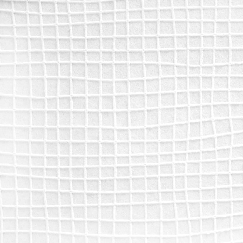 Architects Paper - carta da parati in TNT verniciabile Pigment ECO colore bianco