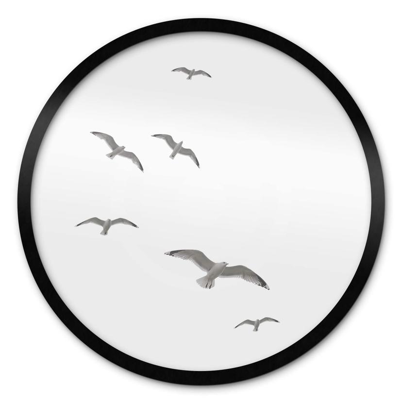 Póster Gaviotas en el cielo - Redondo