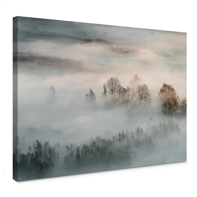 Tableau sur toile Galimberti - Brume hivernale