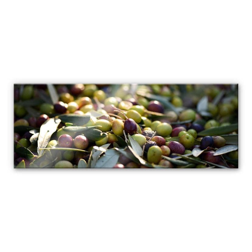 Tableau en verre acrylique - Olives de Méditerranée - Panorama