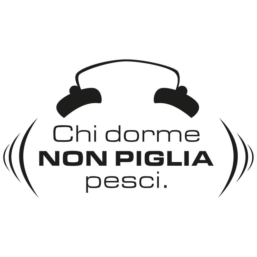 Chi dorme non piglia pesci