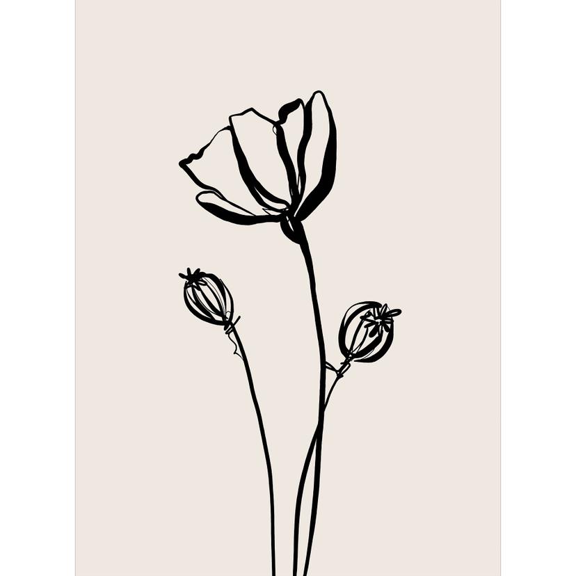 Fotomurale Line Art Poppy - Cats & Dotz