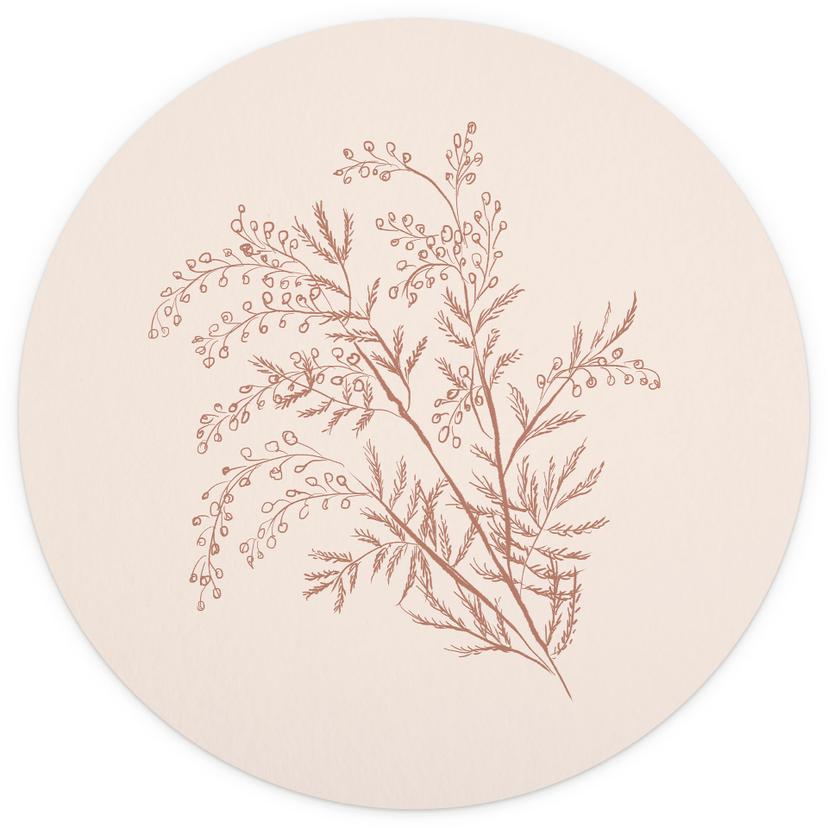 Ramo di acacia in colore moka | Fotomurale Botanicals - illustrazione dell'anice - rotonda - carta d