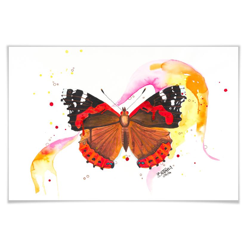Poster - Buttafly - Vanessa Athalanta