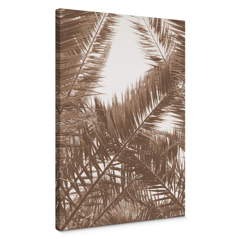 Cuadro lienzo Phoenix palm