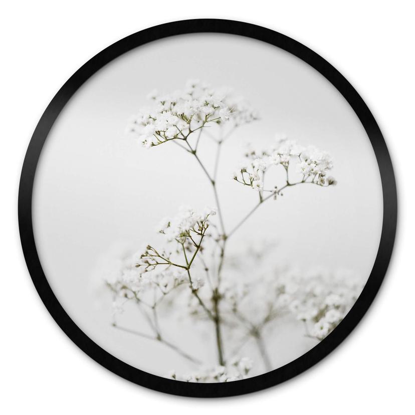 Plakat Annie - Wild Grass