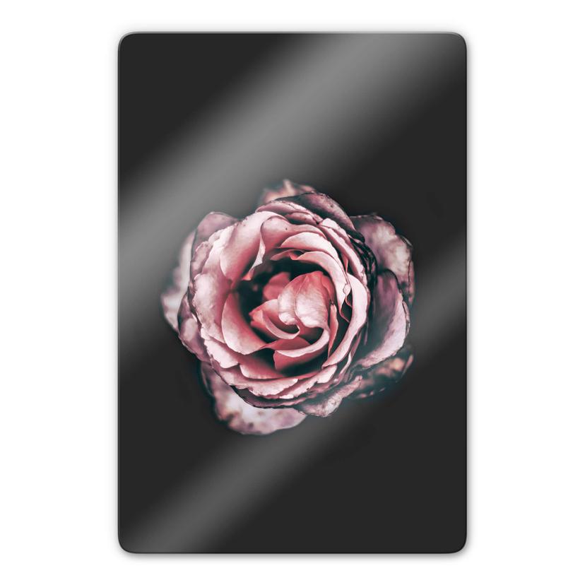Tableau sur verre - Pink Flower Dream 02
