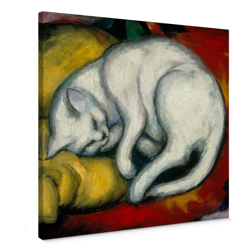 Lienzo Marc - El gato blanco - cuadrado