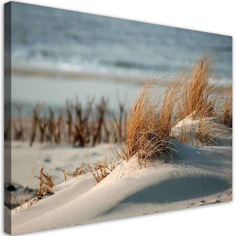 Canvasbillede, Klitter ved havet